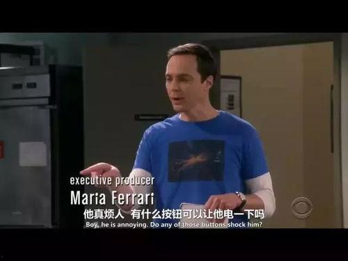 生活大爆炸演员不和,昔日黄金组合的裂痕与争议