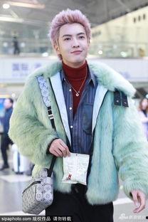 董岩磊图片,光影交织，演绎青春风采